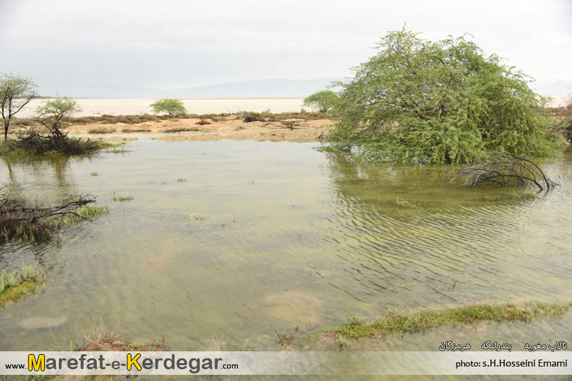 طبیعت بندرلنگه طبیعت بندرلنگه