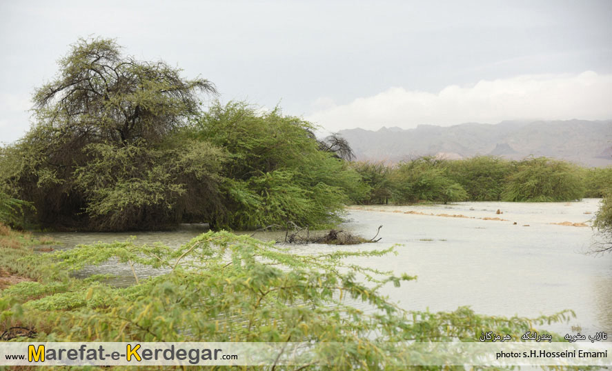 دیدنی های بندر لنگه دیدنی های بندر لنگه