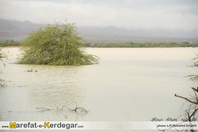 دیدنی های بندر لنگه دیدنی های بندر لنگه