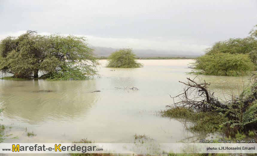 جاهای دیدنی بندرلنگه جاهای دیدنی بندرلنگه