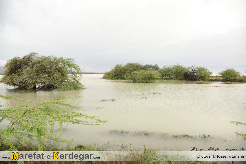 جاهای دیدنی بندرلنگه جاهای دیدنی بندرلنگه