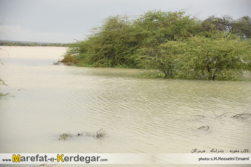 جاهای دیدنی بندرلنگه جاهای دیدنی بندرلنگه