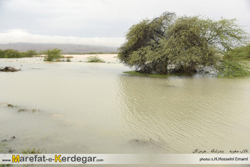 تالاب مغویه تالاب مغویه