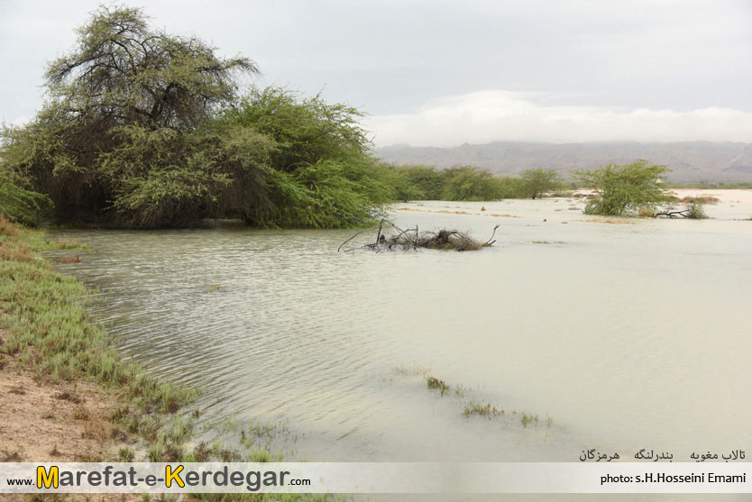 تالاب مغویه تالاب مغویه
