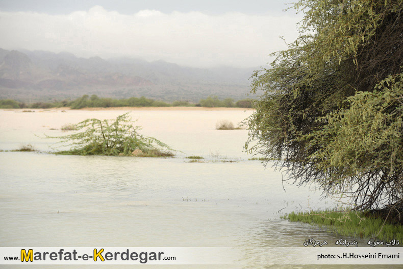 تالاب های استان هرمزگان تالاب های استان هرمزگان