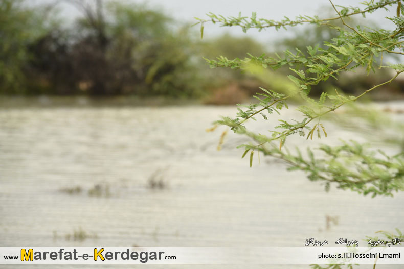 تالاب های استان هرمزگان تالاب های استان هرمزگان