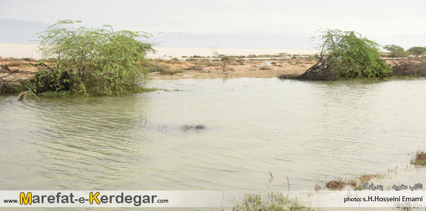 طبیعت بندر لنگه طبیعت بندر لنگه