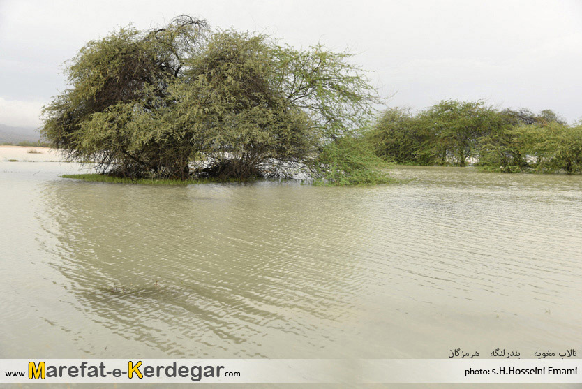 تالاب های هرمزگان تالاب های هرمزگان