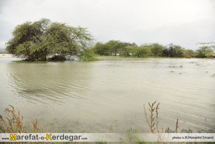 طبیعت بندر مغویه طبیعت بندر مغویه