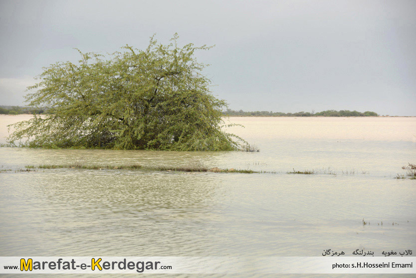 طبیعت روستای مغویه طبیعت روستای مغویه