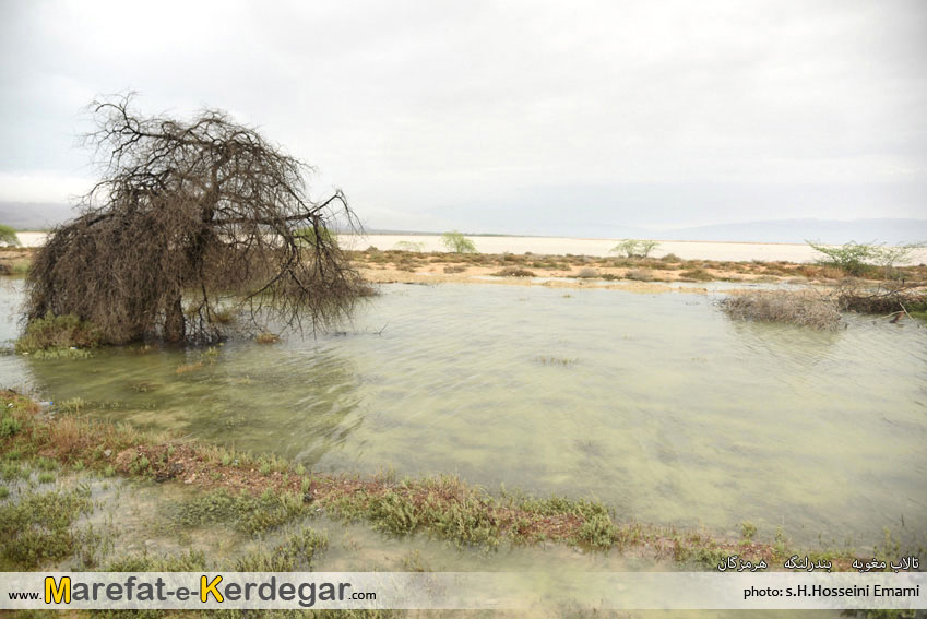 طبیعت بندر لنگه طبیعت بندر لنگه