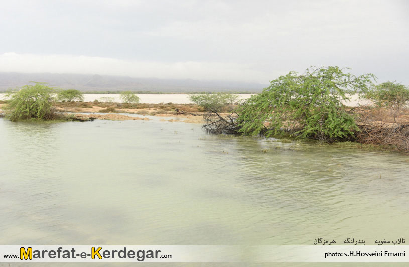 طبیعت بندر لنگه طبیعت بندر لنگه