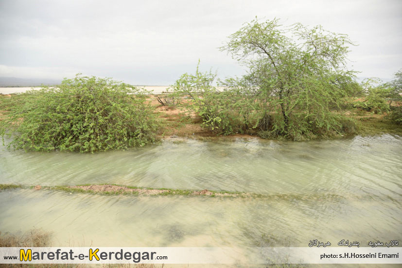 جاذبه های طبیعی بندرلنگه جاذبه های طبیعی بندرلنگه