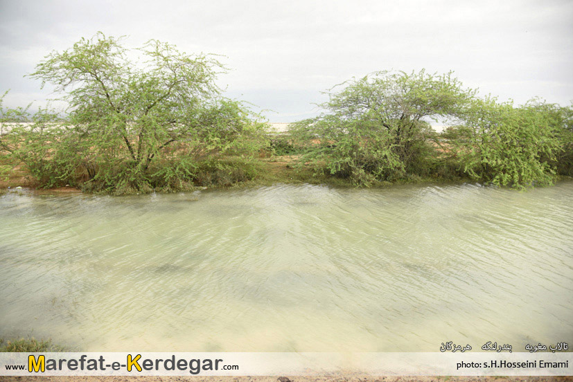 جاذبه های طبیعی بندر لنگه جاذبه های طبیعی بندر لنگه