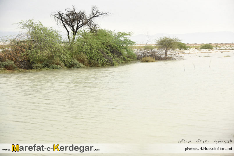 جاذبه های طبیعی بندر لنگه جاذبه های طبیعی بندر لنگه