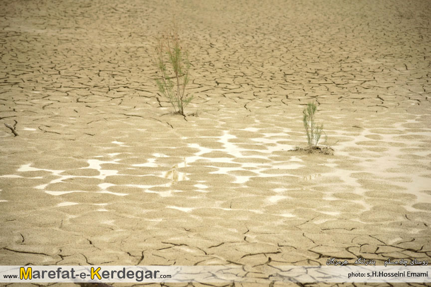 جاذبه های طبیعی بندرلنگه جاذبه های طبیعی بندرلنگه