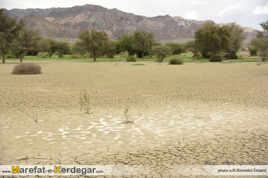 جاذبه های طبیعی بندرلنگه جاذبه های طبیعی بندرلنگه