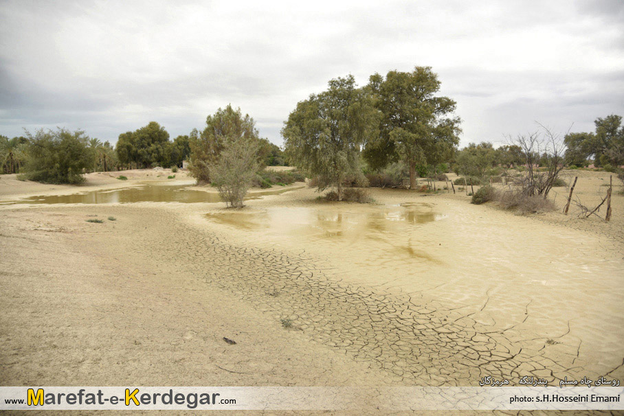 جاذبه های طبیعی بندر لنگه جاذبه های طبیعی بندر لنگه