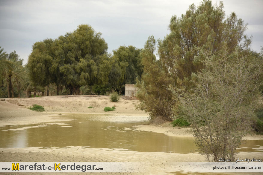 جاذبه های طبیعی بندر لنگه جاذبه های طبیعی بندر لنگه