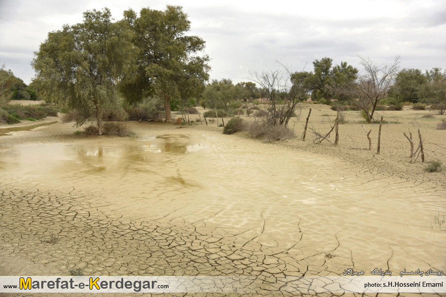 دیدنی های بندر لنگه دیدنی های بندر لنگه