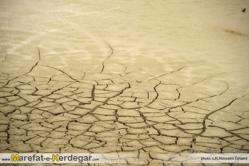 دیدنی های بندر لنگه دیدنی های بندر لنگه