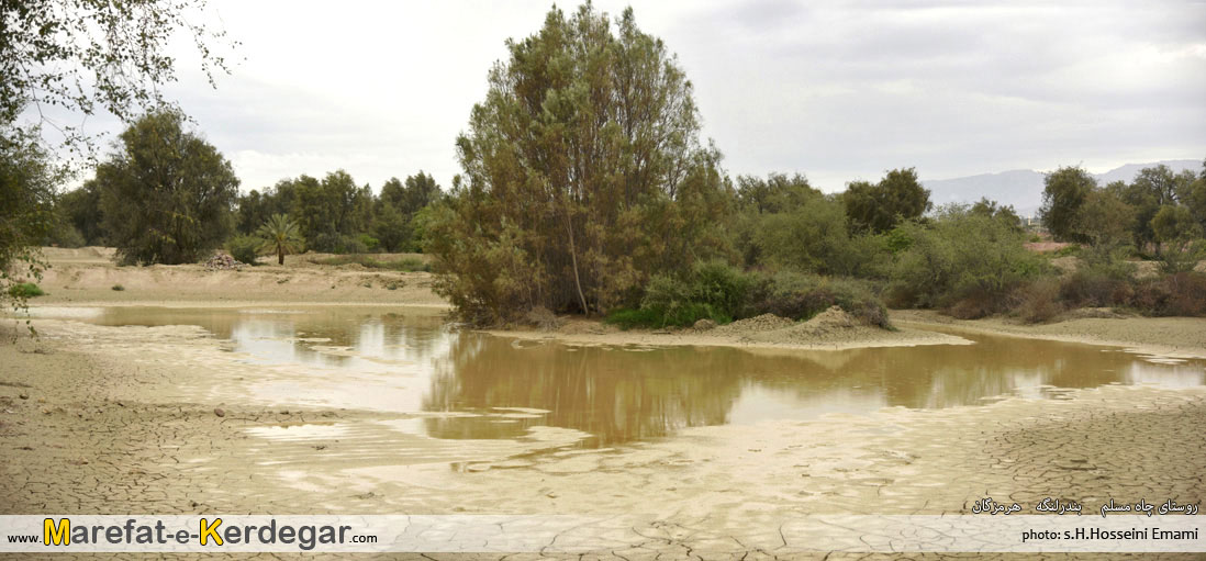 جاذبه های گردشگری بندر لنگه جاذبه های گردشگری بندر لنگه