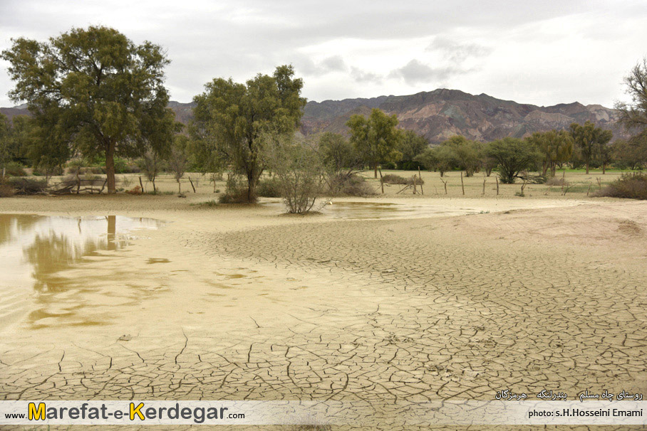 جاذبه های گردشگری بندر لنگه جاذبه های گردشگری بندر لنگه