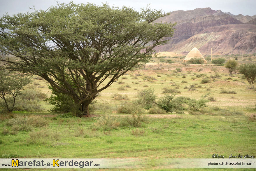 روستای چاه مسلم روستای چاه مسلم