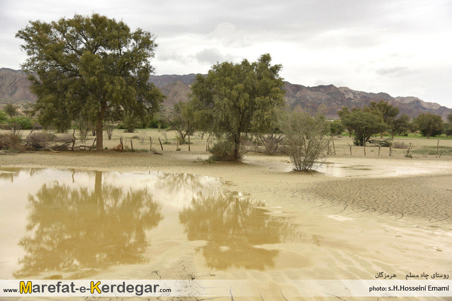 جاذبه های گردشگری بندرلنگه جاذبه های گردشگری بندرلنگه