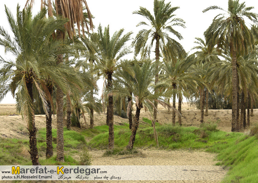 جاذبه های گردشگری بندرلنگه جاذبه های گردشگری بندرلنگه