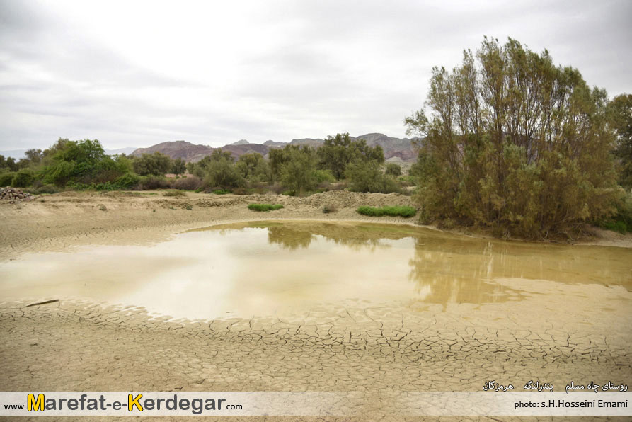 جاهای دیدنی بندرلنگه جاهای دیدنی بندرلنگه