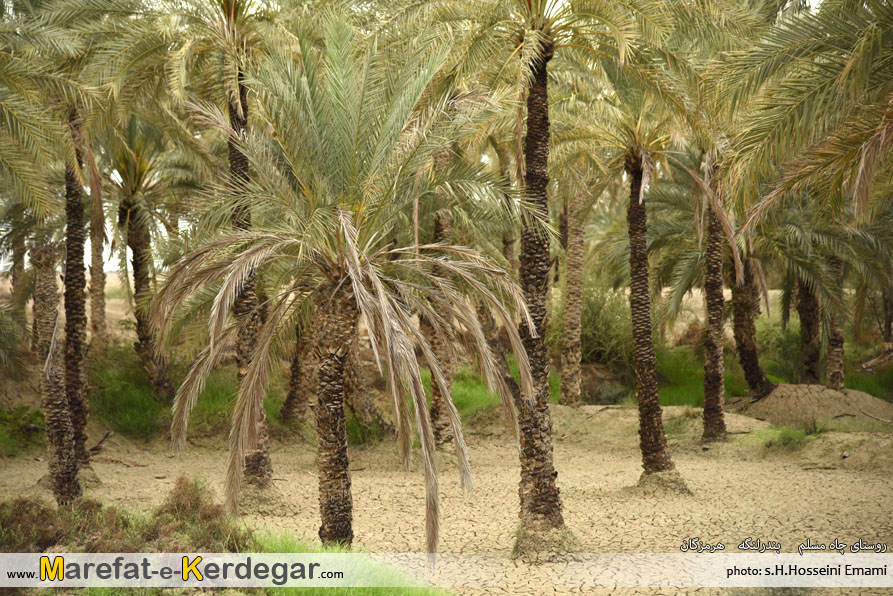 جاهای دیدنی بندرلنگه جاهای دیدنی بندرلنگه