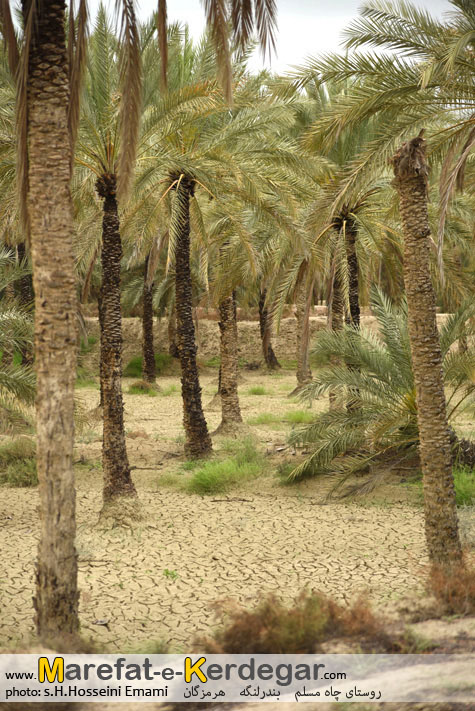 جاهای دیدنی بندر لنگه جاهای دیدنی بندر لنگه