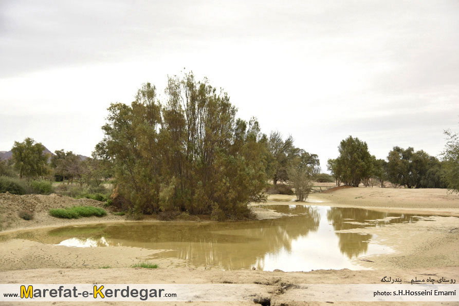 جاهای دیدنی بندر لنگه جاهای دیدنی بندر لنگه