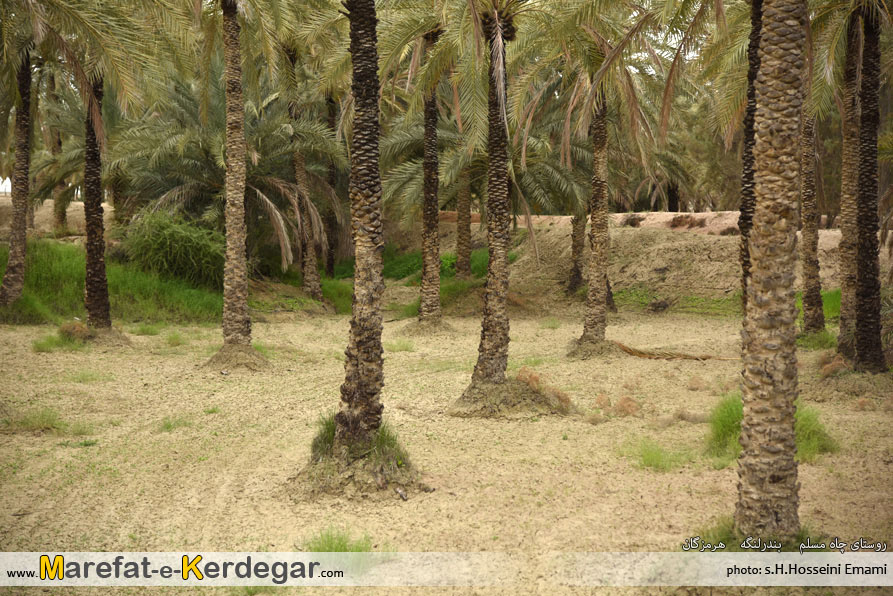 طبیعت استان هرمزگان طبیعت استان هرمزگان