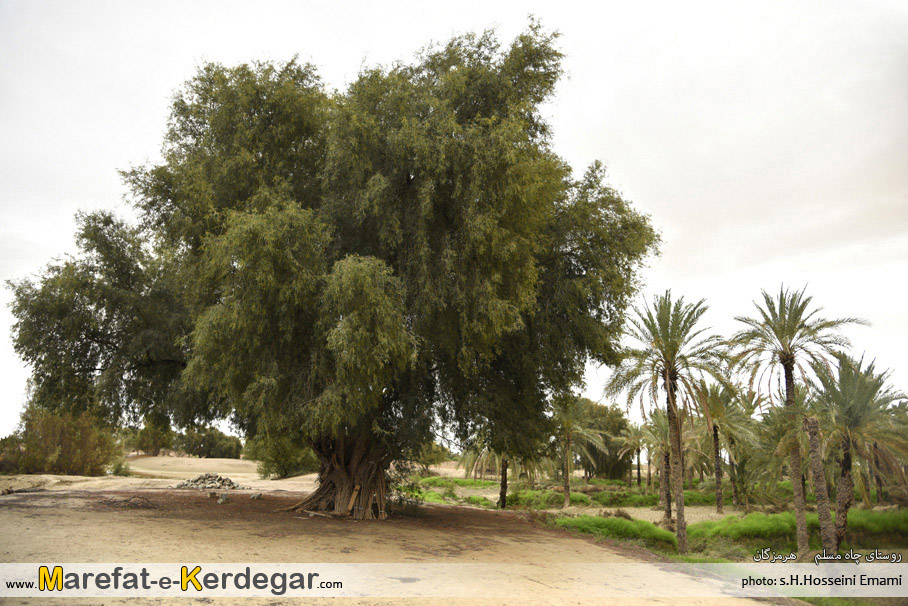 طبیعت استان هرمزگان طبیعت استان هرمزگان