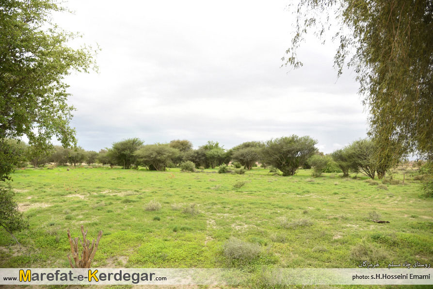 روستای چاه مسلم روستای چاه مسلم