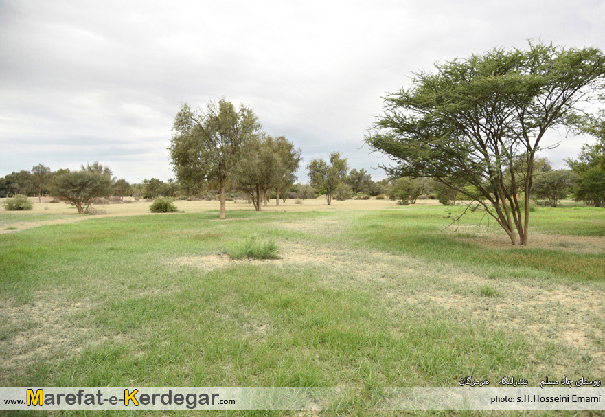 روستای چاه مسلم روستای چاه مسلم