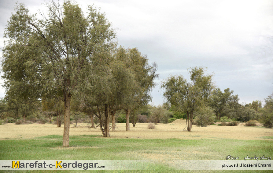 طبیعت بندر لنگه طبیعت بندر لنگه