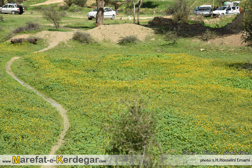 طبیعت بهاری ایران