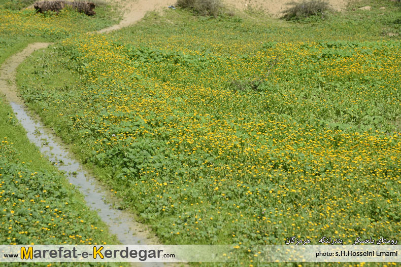 طبیعت بهاری ایران