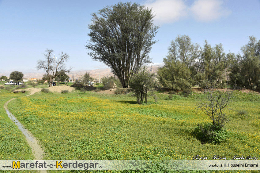 طبیعت ایران طبیعت ایران