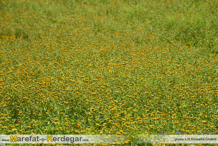 طبیعت بندرلنگه طبیعت بندرلنگه