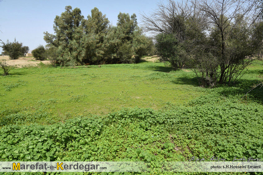 طبیعت شهرستان بندر لنگه طبیعت شهرستان بندر لنگه