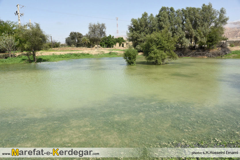 جاذبه های طبیعی شهرستان بندرلنگه