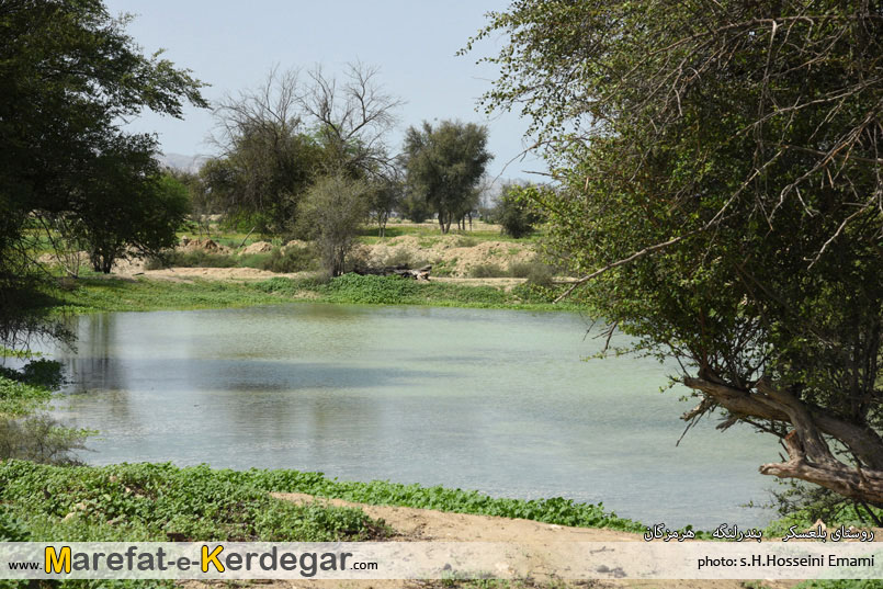 جاذبه های طبیعی بندر لنگه جاذبه های طبیعی بندر لنگه