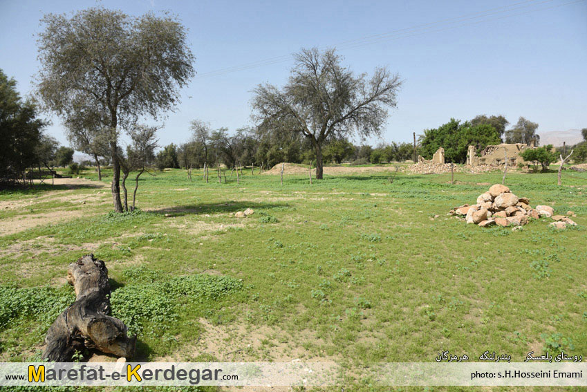 جاذبه های طبیعی بندرلنگه جاذبه های طبیعی بندرلنگه