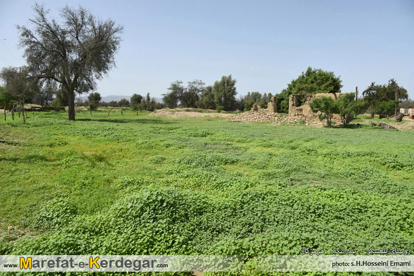 روستای بلعسکر روستای بلعسکر