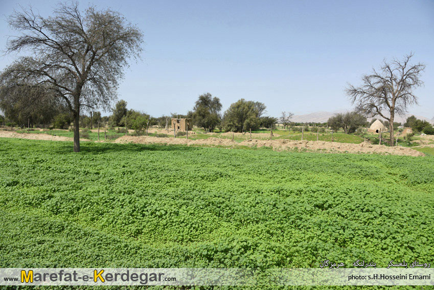 روستای بلعسکر