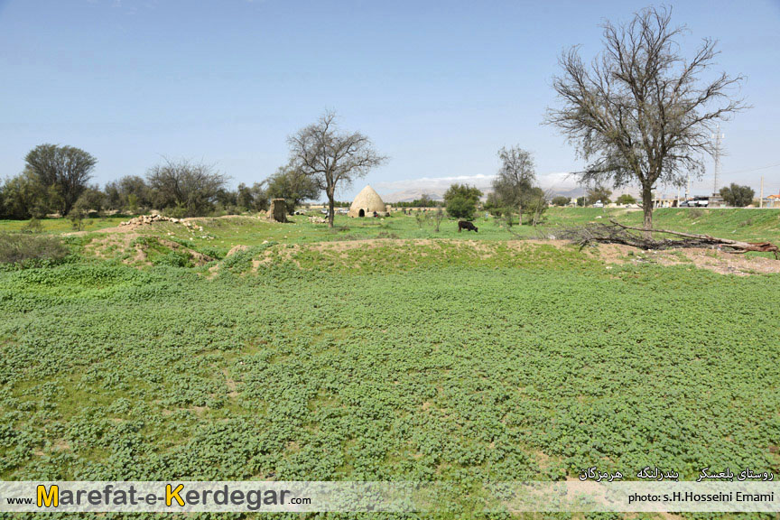 طبیعت بهاری هرمزگان طبیعت بهاری هرمزگان